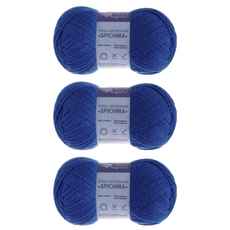 Пряжа Люблю вязать 'Брусника' носочная 100гр 400м (75% шерсть, 25% нейлон) (670 синий)