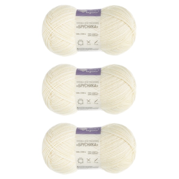 Пряжа Люблю вязать 'Брусника' носочная 100гр 400м (75% шерсть, 25% нейлон) (001 белый)